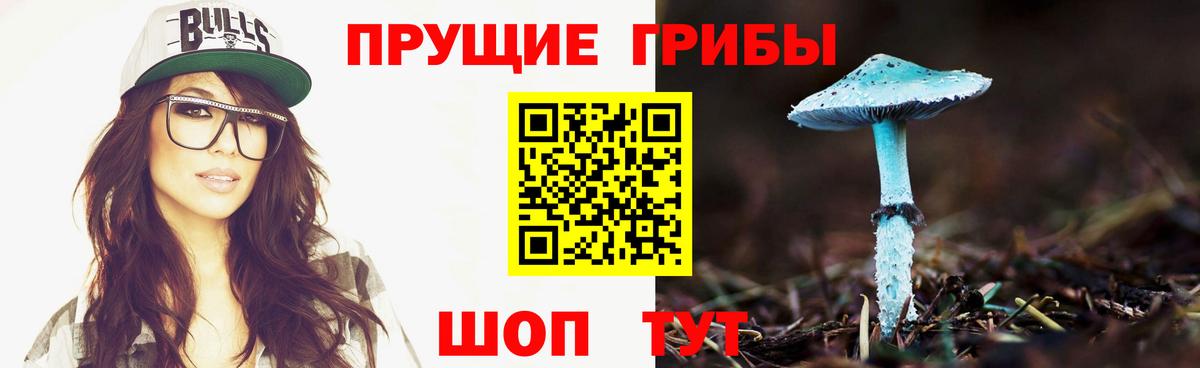 продажа наркотиков  Галлюциногенные грибы Cubensis  Вход с VPN  Асино  Псилоцибиновые грибы GOLDEN TEACHER 